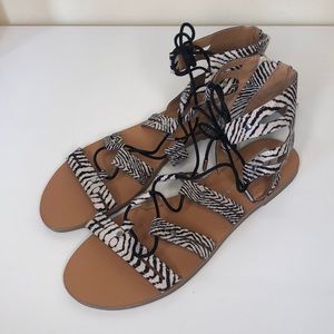 **Brand New** Gladiator Sandals